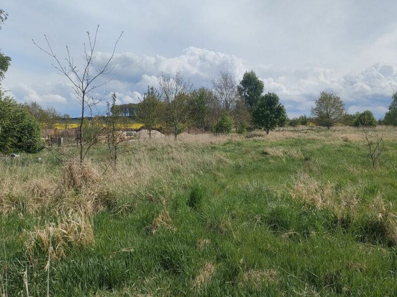 Lędzin działka budowlana na sprzedaż 1394m2
