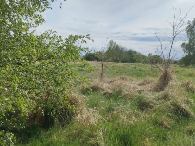 Lędzin działka budowlana na sprzedaż 1394m2