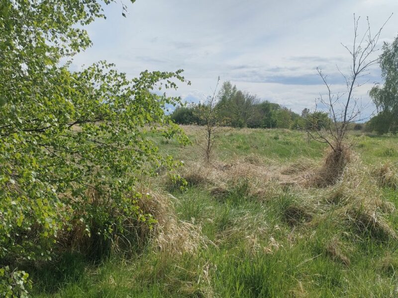 Lędzin działka budowlana na sprzedaż 1394m2