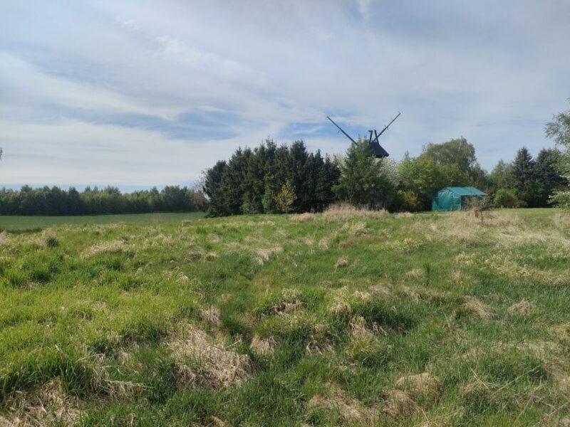 Lędzin działka budowlana na sprzedaż 1394m2