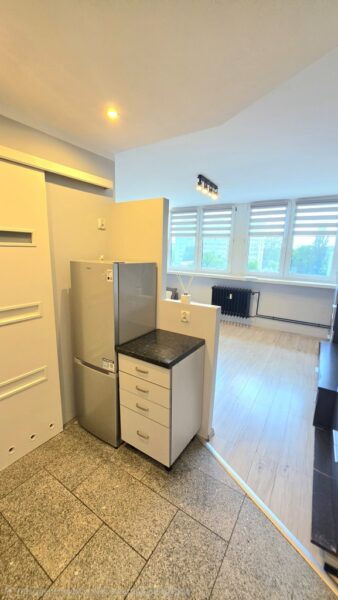Funkcjonalne studio w sercu miasta