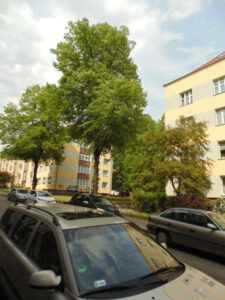 2 pok.rozkładowe , balkon -okolice Jasnych Błoni.
