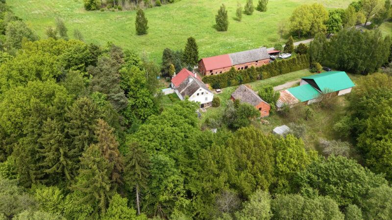 Siedlisko 1,10 ha przy lesie – dom i zabudowania
