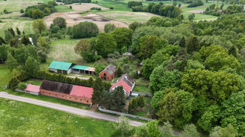 Siedlisko 1,10 ha przy lesie – dom i zabudowania