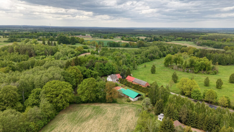 Siedlisko 1,10 ha przy lesie – dom i zabudowania