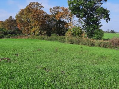 Kurów działka inwest. 2,8 ha, piękny widok na Odrę