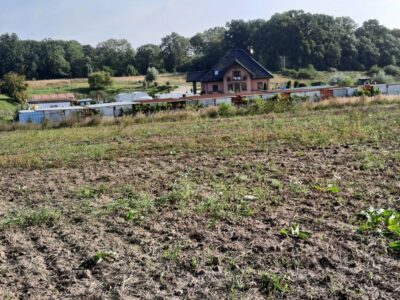 Kurów działka inwest. 2,8 ha, piękny widok na Odrę