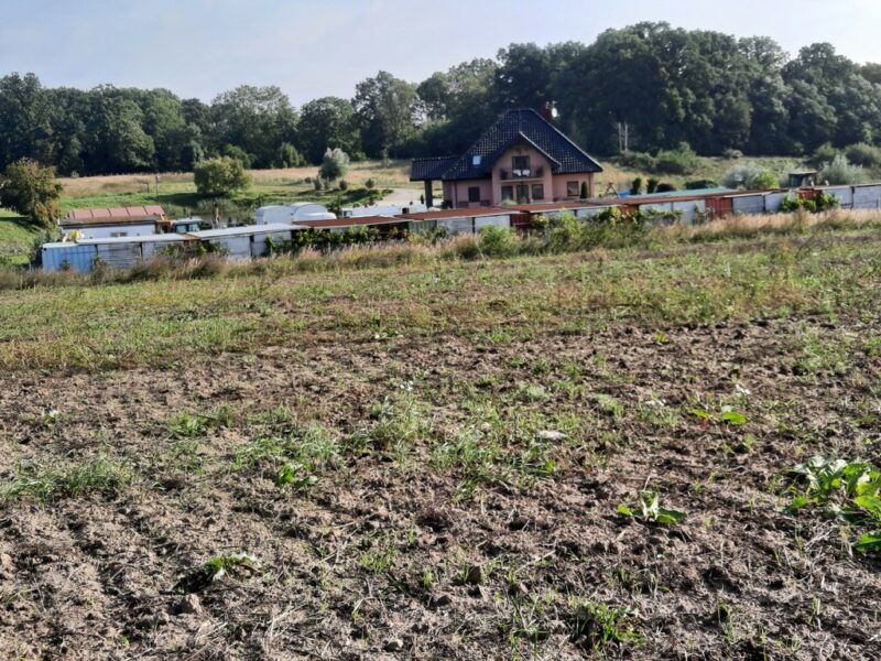 Kurów działka inwest. 2,8 ha, piękny widok na Odrę