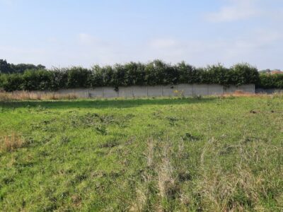 Kurów działka inwest. 2,8 ha, piękny widok na Odrę