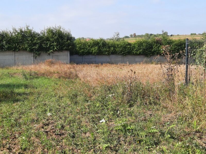 Kurów działka inwest. 2,8 ha, piękny widok na Odrę