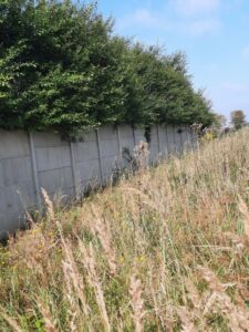 Kurów działka inwest. 2,8 ha, piękny widok na Odrę