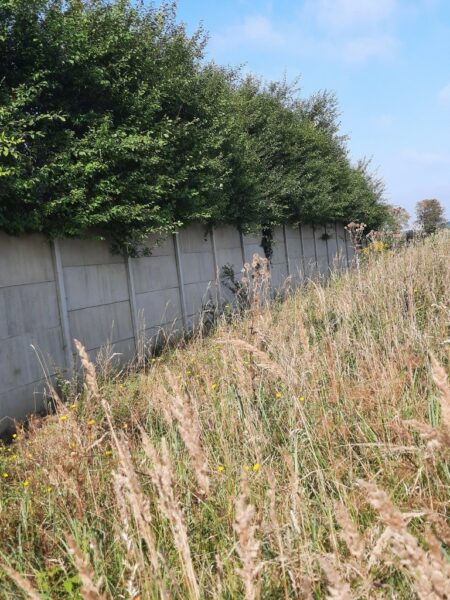 Kurów działka inwest. 2,8 ha, piękny widok na Odrę