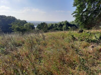 Kurów działka inwest. 2,8 ha, piękny widok na Odrę