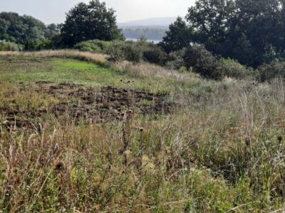 Kurów działka inwest. 2,8 ha, piękny widok na Odrę