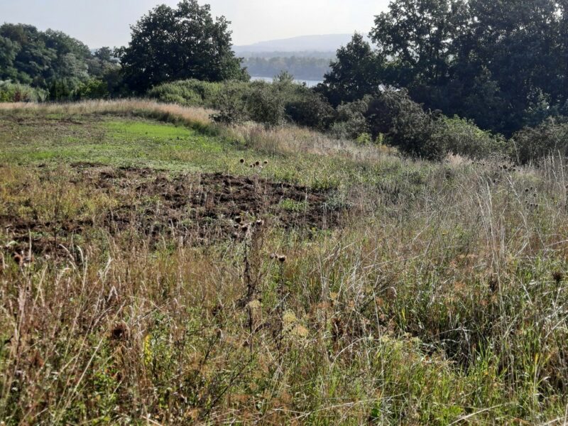 Kurów działka inwest. 2,8 ha, piękny widok na Odrę