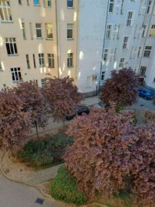 2 pokoje przy Alei Fontann