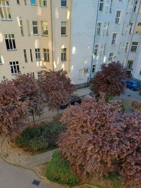 2 pokoje przy Alei Fontann