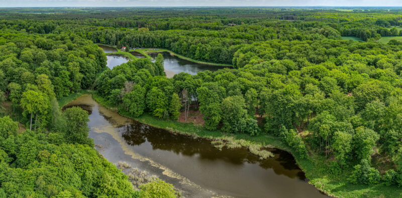 Prywatny kompleks wodny w środku lasu
