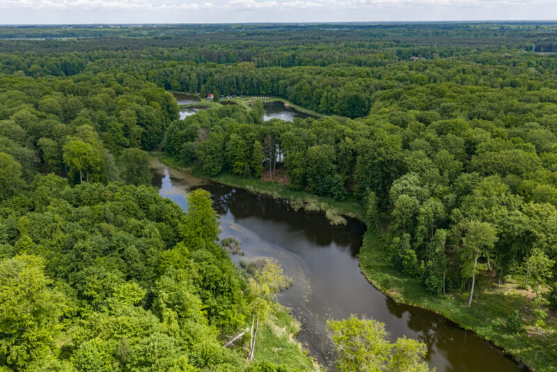 Prywatny kompleks wodny w środku lasu