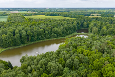 Prywatny kompleks wodny w środku lasu