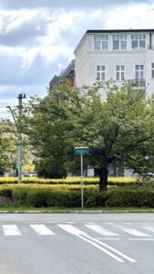 Na sprzedaż 3 pokoje z widokiem na Plac Odrodzenia