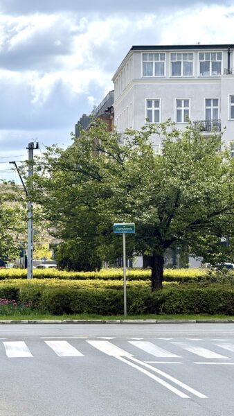 Na sprzedaż 3 pokoje z widokiem na Plac Odrodzenia
