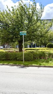 Na sprzedaż 3 pokoje z widokiem na Plac Odrodzenia