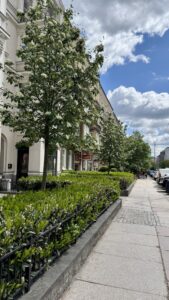 Na sprzedaż 3 pokoje z widokiem na Plac Odrodzenia