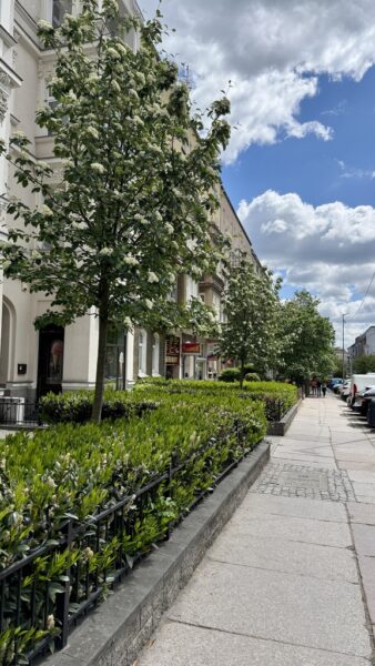 Na sprzedaż 3 pokoje z widokiem na Plac Odrodzenia