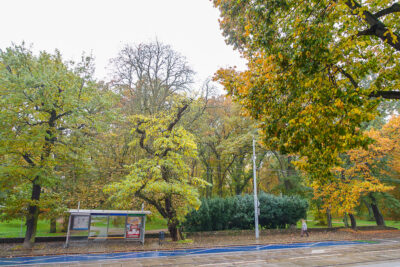 4 pokoje, 97,2 m2, parter, blisko Parku 720000 zł