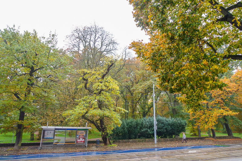 4 pokoje, 97,2 m2, parter, blisko Parku 720000 zł