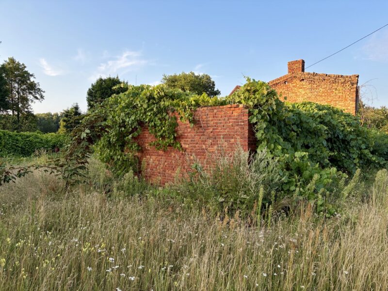 Działka inwestycyjna 1 392m², Tanowo | Witorza