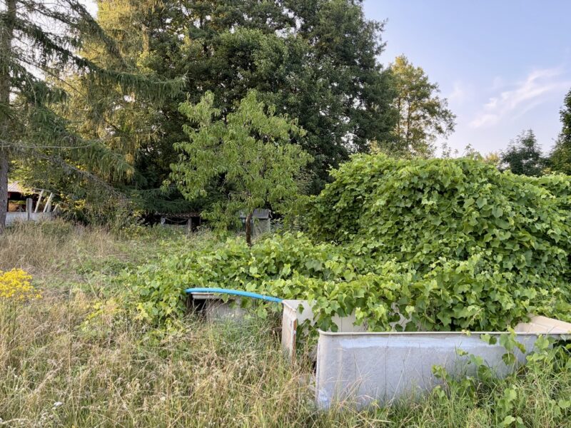 Działka inwestycyjna 1 392m², Tanowo | Witorza