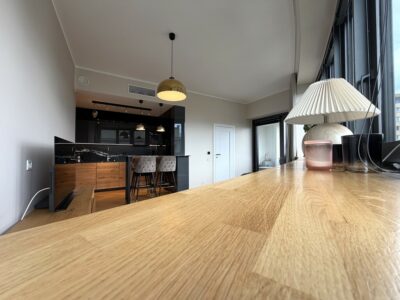 apartament Hanza Tower / miejsce postojowe