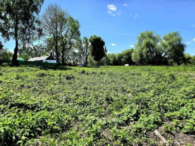 Działka w Chlebowie - ponad 1300m² z WZ!!!