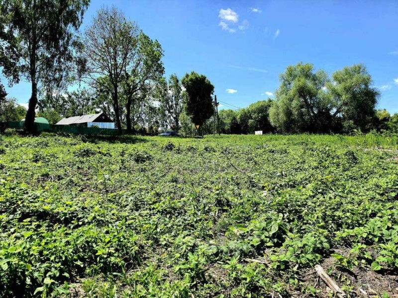 Działka w Chlebowie - ponad 1300m² z WZ!!!