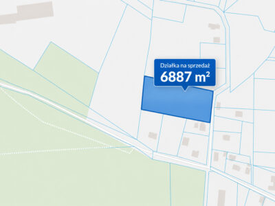 Działka 6887 m² z WZ na 5 domów | Motaniec