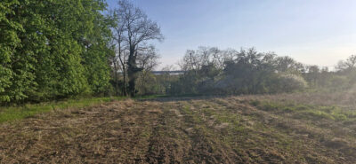 Dom do remontu z dużą działką 3900m²