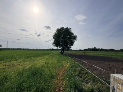 Atrakcyjna działka inwestycyjna - Szczecin