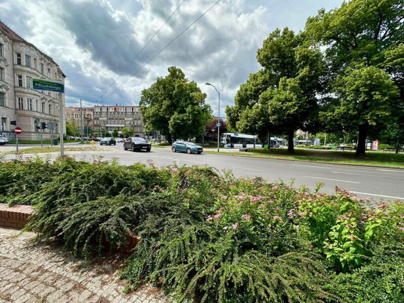 Kawalerka ul. Piłsudskiego przy Placu Grunwaldzkim
