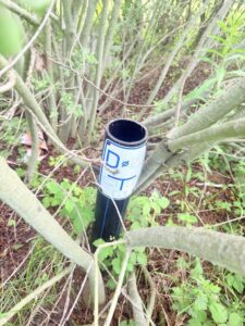 Warszewo działka budowlana z planem przestrzennym