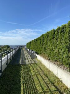 Centrum, apartament 1 pokojowy - Kamienica Nova