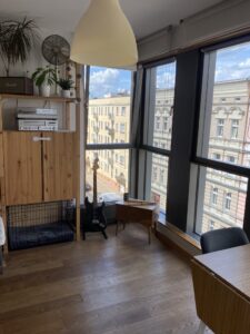 Centrum, apartament 1 pokojowy - Kamienica Nova