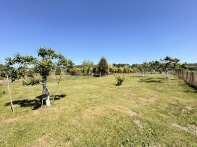 Bliźniak I Duża działka 1637 m2 I Świerzno