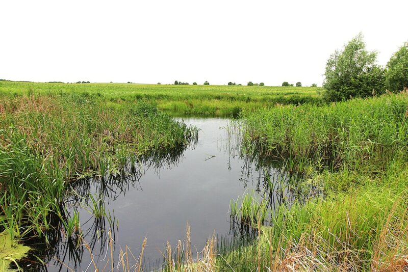 Duża działka pod zabudowe zagrodową Gleźno