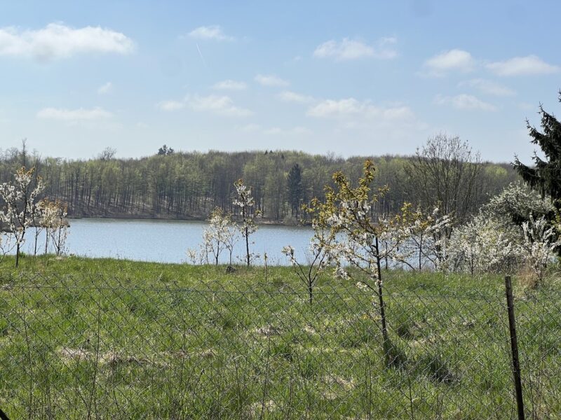 Siedlisko 1,16ha/dostęp do jeziora/Linówko k.Ińska