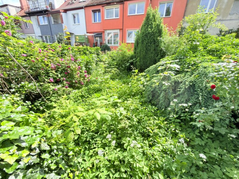 Pogodno 2 pok + ogród + pokój na strychu,