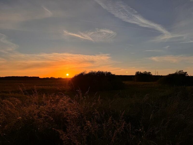 Działki budowlane / Sławoszewo