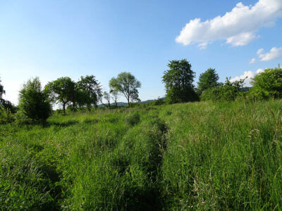 Binowo działka blisko jeziora, 1962 m2, MPZP