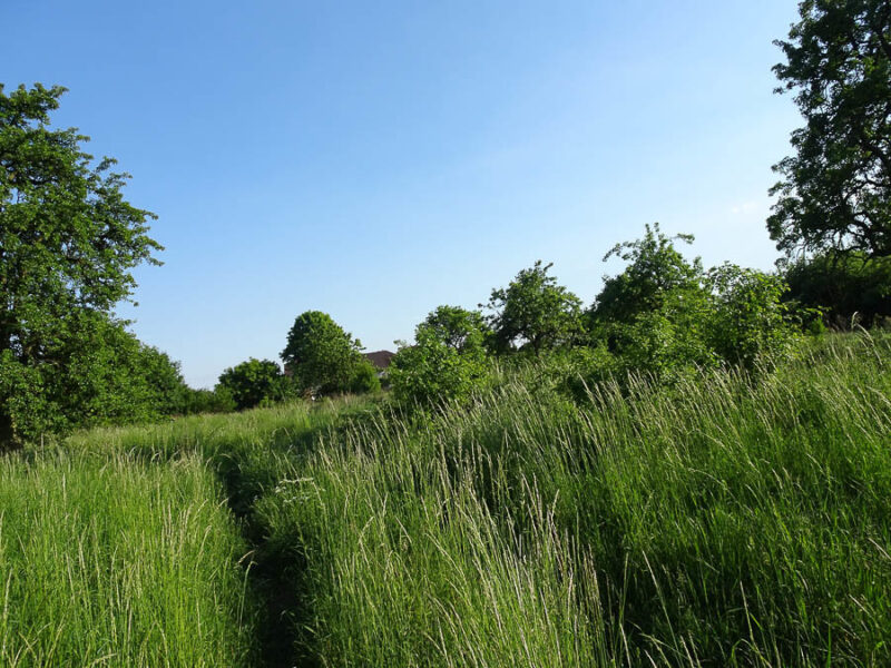 Binowo działka blisko jeziora, 1962 m2, MPZP